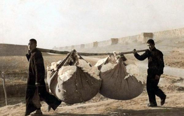 英美在19世紀的摩擦：親兄弟也要明算賬