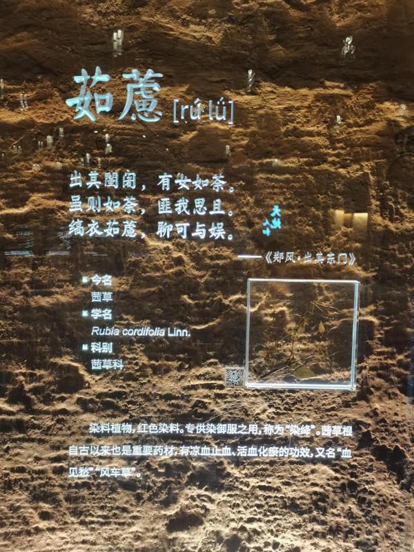 北京世園公園中國館