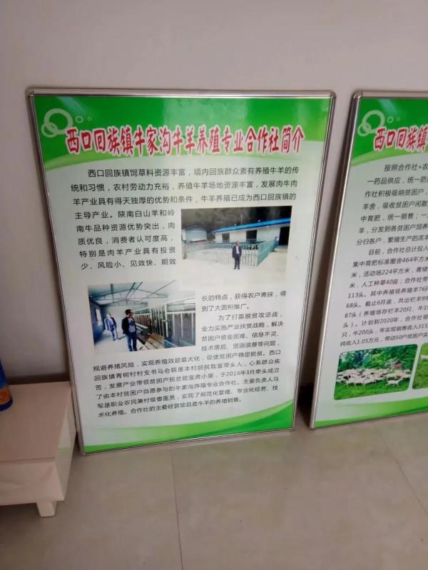 回民的養羊經值得學習