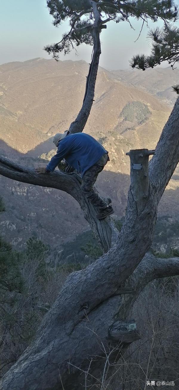 冬至驢行泰山之黃石崖，老平臺，映霞峰，桃花峪東西穿越