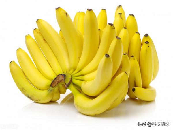 不可思議！聞香識女人，聞香也能減肥