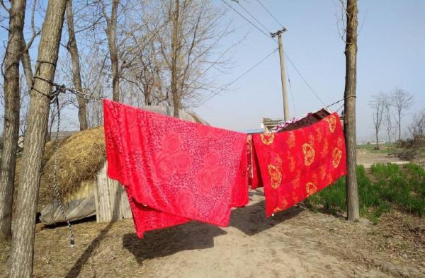 河南方言的生僻字 河南方言的生僻字