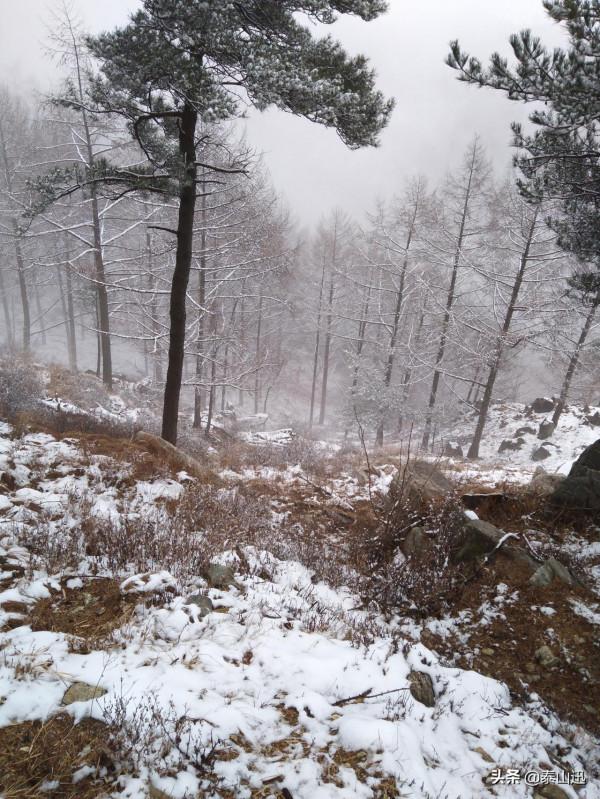 驢行泰山之初雪獨行