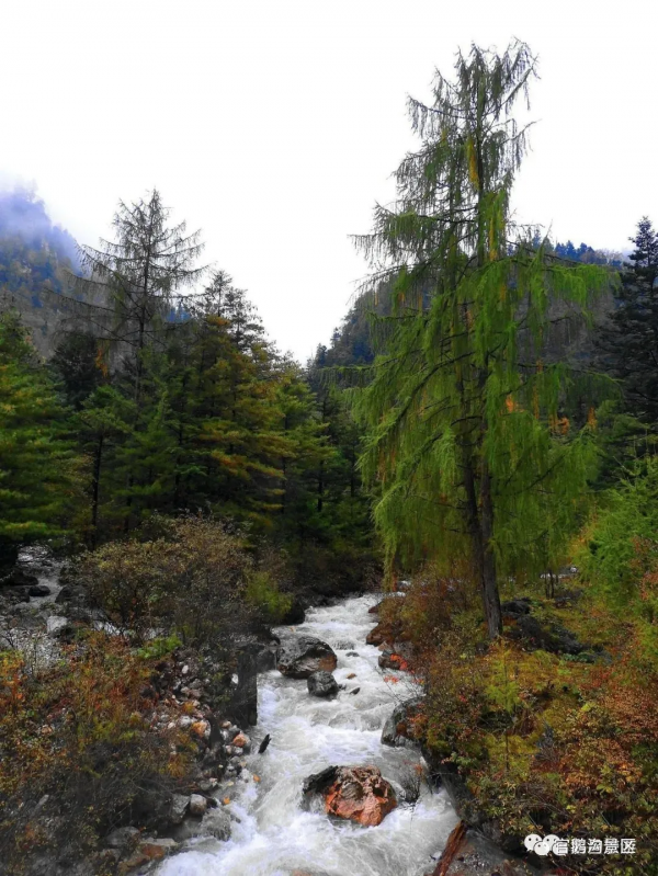 【最新美圖】此生不去澤蕩湖,逢人莫說賞秋色 【最新美圖】此生不去澤蕩湖,逢人莫說賞秋色