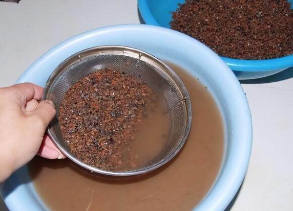 蜂窩煤渣燒完就丟？這樣處理一下，變身成養花的好材料