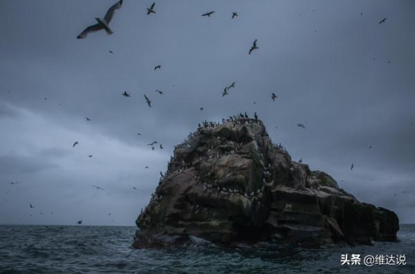 科曼多爾群島:白令海的出海口,俄羅斯掌控北極航道的交通隘口 科曼多爾群島:白令海的出海口,俄羅斯掌控北極航道的交通隘口