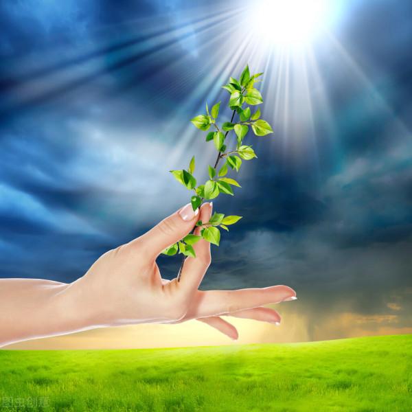 鄉愁似水，生活如火‖《朝向一朵花的盛開》，給你精神安個“家”