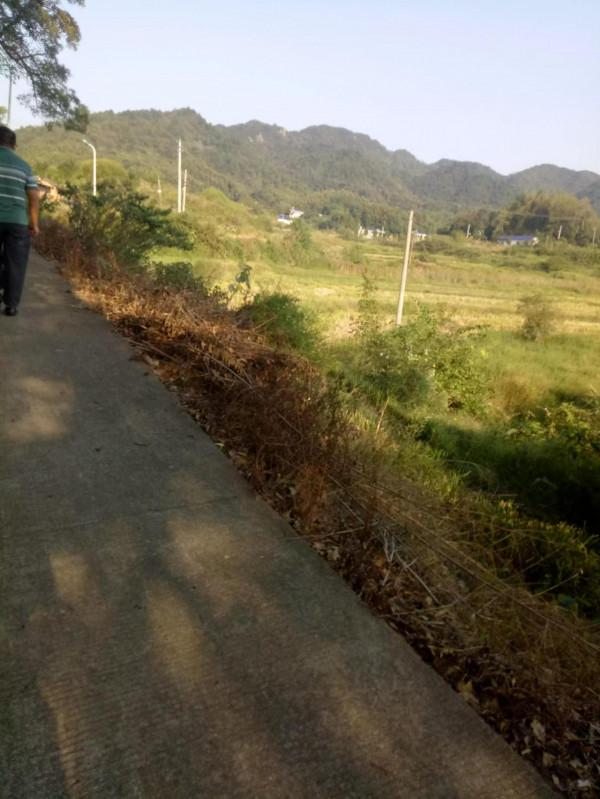 東線米粉的故事 東線米粉的故事