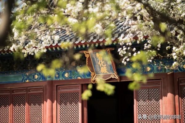 看展喝咖啡、賞壁畫、聽古樂…這座城市的寺廟也太厲害了吧