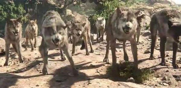 中國第一位沒有軍銜的國防部長,被毛主席大加讚賞,周總理都要搶 中國第一位沒有軍銜的國防部長,被毛主席大加讚賞,周總理都要搶