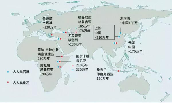 330萬年前的人類鼻祖，長得這個樣