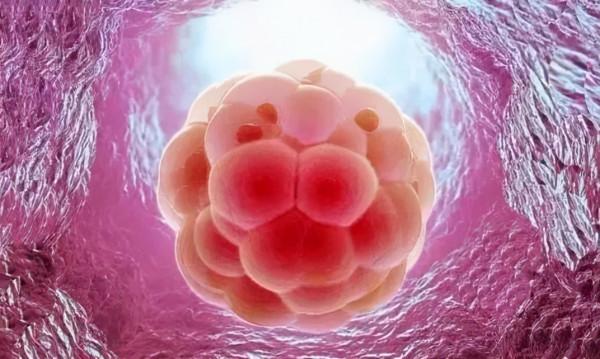 做試管會生化嗎? 做試管會生化嗎?