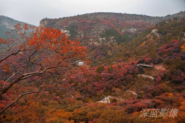 石門坊最美紅葉 石門坊最美紅葉