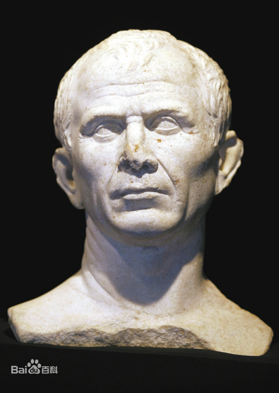 拿破崙想取代他們中的一個,可能嗎 拿破崙想取代他們中的一個,可能嗎