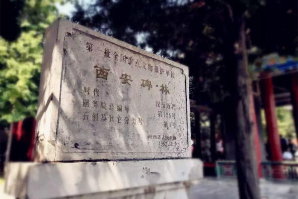 前五獨佔二席：“百年百大考古發現”，陝西17項入選