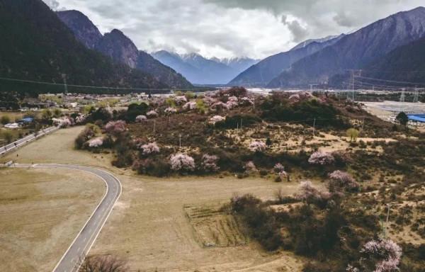 西藏高原上的美景美女