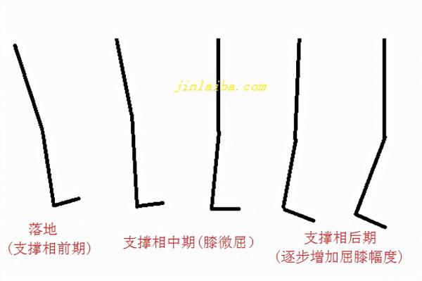 什麼是膝塌陷步態