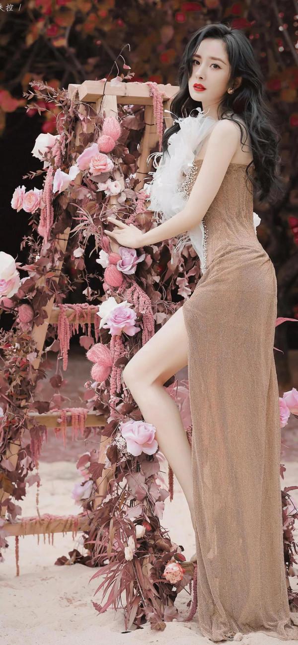 iPhone13系列桌布精選：楊冪