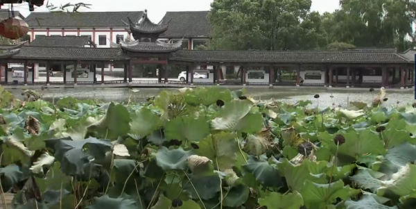 湖州大姐借錢開荒,靠養魚年收入7000萬,帶領周邊漁民共同致富 湖州大姐借錢開荒,靠養魚年收入7000萬,帶領周邊漁民共同致富