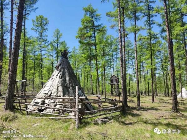 我的花甲之旅——沿途溼地沼澤,鳥語花香,森林草原,牛羊肥壯 我的花甲之旅——沿途溼地沼澤,鳥語花香,森林草原,牛羊肥壯