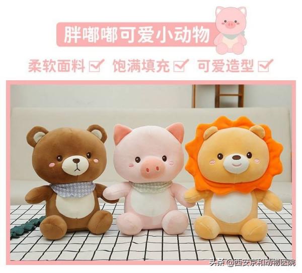 盤點那些可愛到爆的寵物家居用品