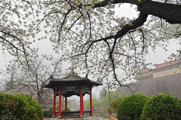 86版《西遊記》拍攝過的外景地，你去過幾個？有你家鄉嗎？