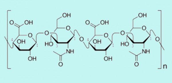 科學家發現凍齡動物,還與癌症絕緣,這帶給人類什麼福音? 科學家發現凍齡動物,還與癌症絕緣,這帶給人類什麼福音?
