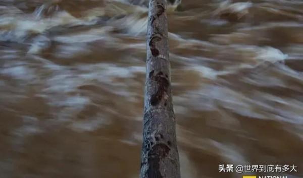 “寮國”現狀，帶你看看真實的寮國