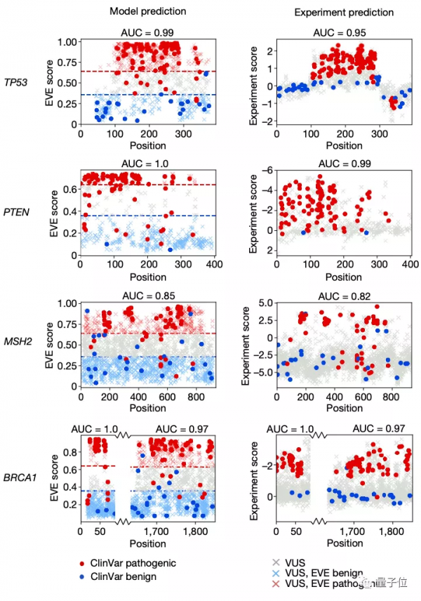 Nature：哈佛&amp;牛津開發最新AI模型，已預測3600萬個致命基因突變