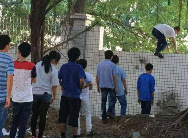 “14歲現象”愁壞家長,孩子叛逆的表象下,藏著什麼秘密? “14歲現象”愁壞家長,孩子叛逆的表象下,藏著什麼秘密?