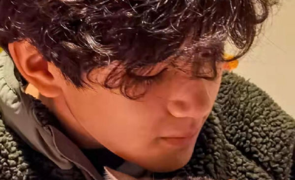 張智霖兒子長大後大變樣！燙捲毛五官變混血，變異國王子不敢認