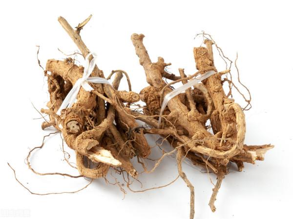 一味中藥:地骨皮,滋陰添津,清熱瀉火,煮水喝,可以降血壓 一味中藥:地骨皮,滋陰添津,清熱瀉火,煮水喝,可以降血壓