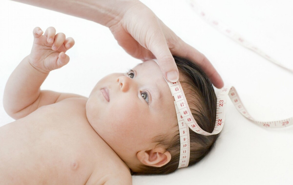 為何動物生寶寶很輕鬆，孕媽卻痛不欲生？人類的優勢這時成了劣勢