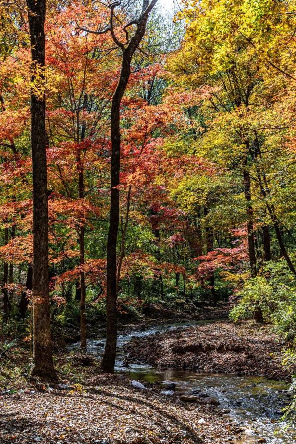 中國最美的50個地方,我竟然只去過10個,你呢? 中國最美的50個地方,我竟然只去過10個,你呢?