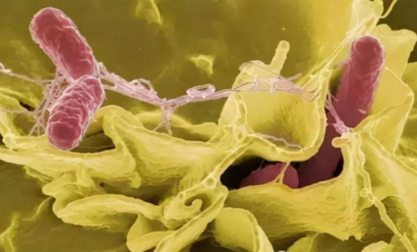 廚房重油汙？只需一張溼巾，教你輕鬆搞定