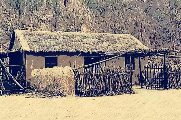 民間故事：男子如廁，窺見黃牛和老虎的秘密，他將牛放生逃過一劫