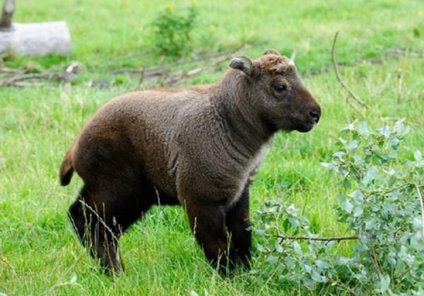 龍之國“不丹”現狀，帶你瞭解真實的不丹