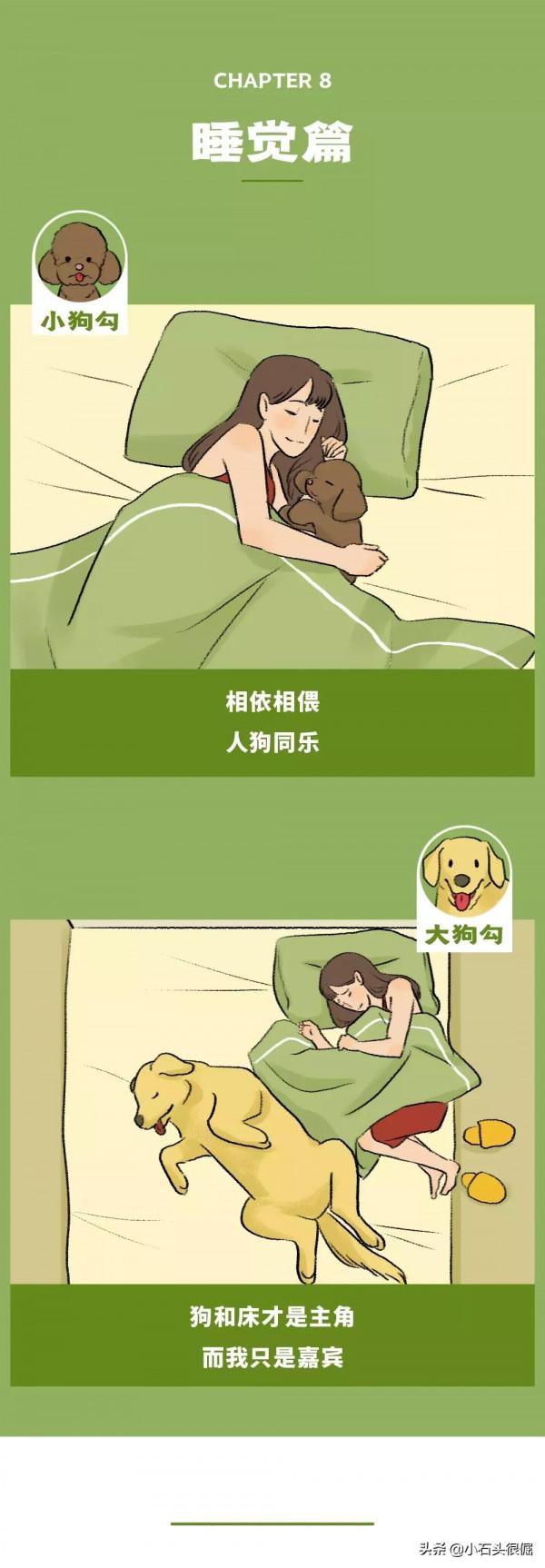 養大狗和小狗的區別(漫畫) 養大狗和小狗的區別(漫畫)