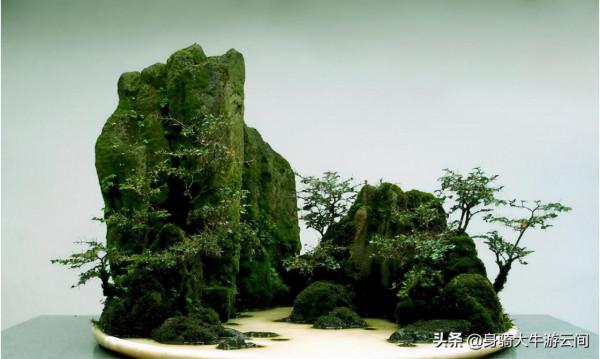 家庭微造景——“吸水石盆景”