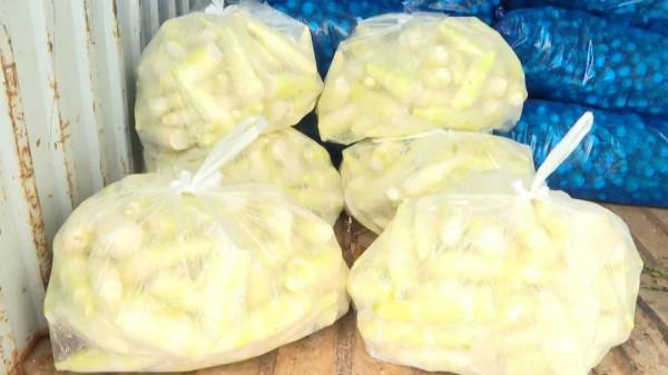 茭白豐收正當時,農民忙碌好“錢”景~ 茭白豐收正當時,農民忙碌好“錢”景~