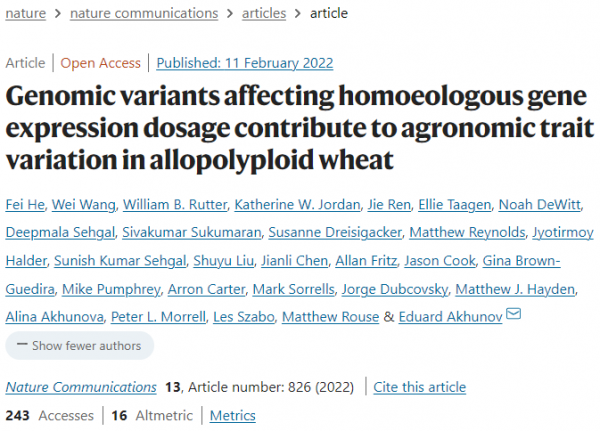 一作解讀 &vert; NC：部分同源基因表達量失調影響多倍體小麥農藝性狀