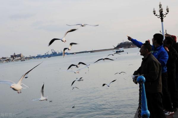 冬至開始“數九”的古老習俗