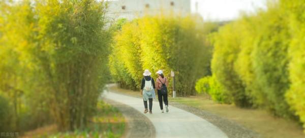 生活即禪意,禪意即詩意,幾首描寫生活和禪意的詩詞 生活即禪意,禪意即詩意,幾首描寫生活和禪意的詩詞