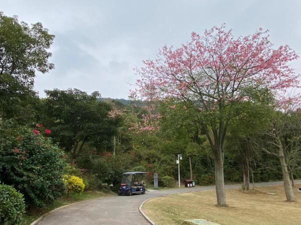 尋找不容易發現的地方