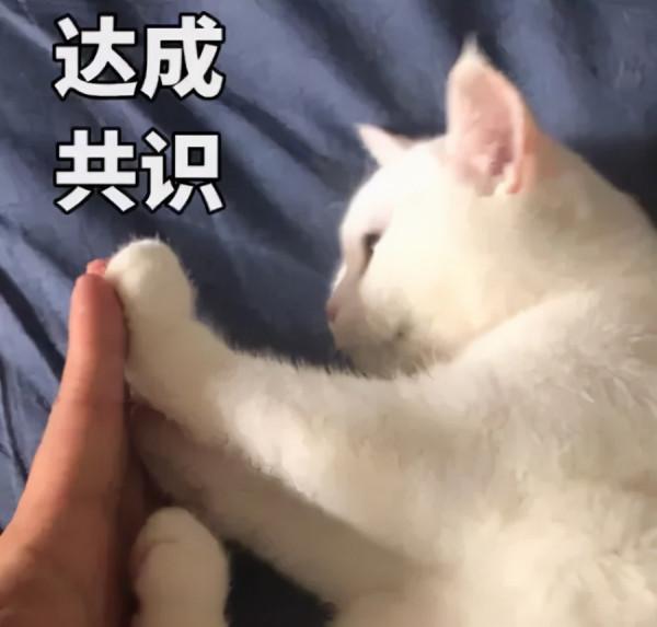 萬國覺醒丨縱有疾風起,不畏人言惱 萬國覺醒丨縱有疾風起,不畏人言惱