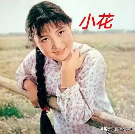 這些沒兒女的大牌女星,有的命運真悽慘,劉嘉玲的8億究竟給誰? 這些沒兒女的大牌女星,有的命運真悽慘,劉嘉玲的8億究竟給誰?