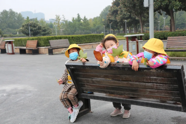 五龍新城匯愛幼稚園“匯”眼看世界大戶外再啟程，深秋下的植物園