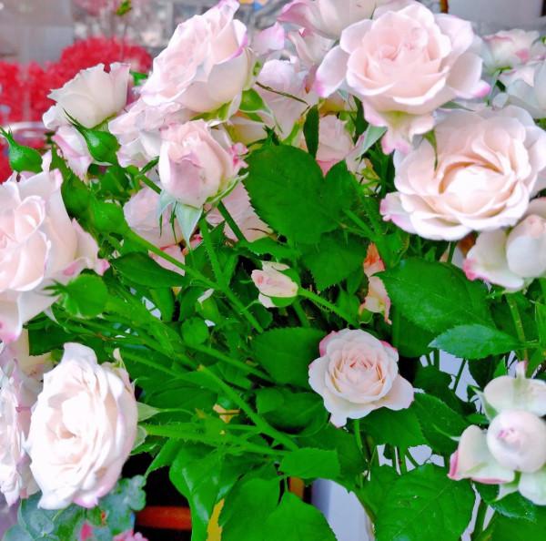 超乎尋常的親族,漠不相干的路人 超乎尋常的親族,漠不相干的路人