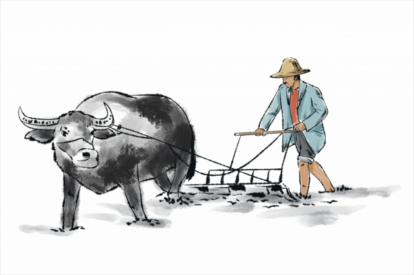 關於酒的10個小知識,你知道幾個? 關於酒的10個小知識,你知道幾個?