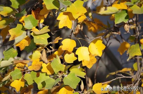 城市漫步——奧森公園 城市漫步——奧森公園